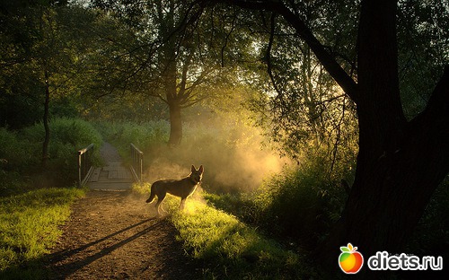 ��������, �������.