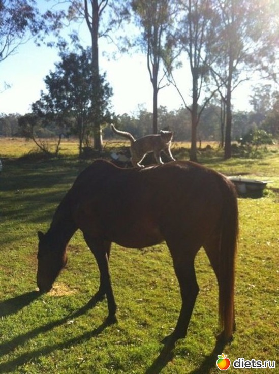 24 ����: ��������, �������.