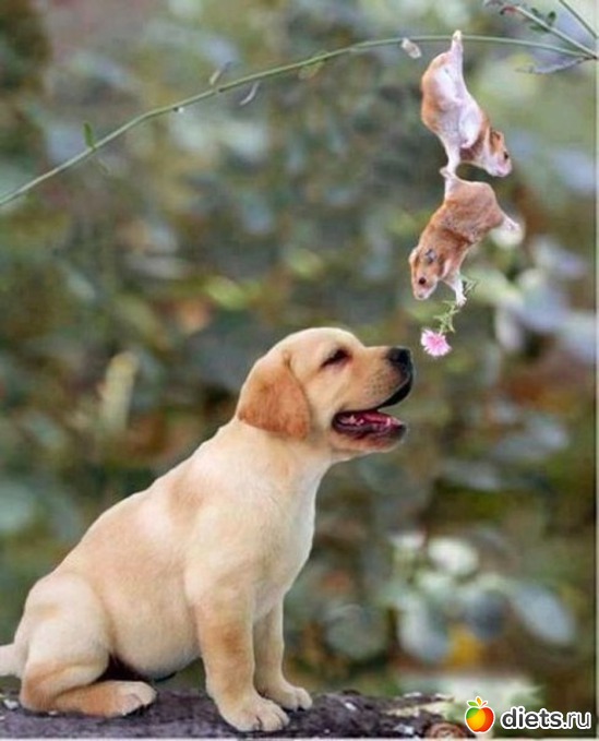 25 ����: ��������, �������.