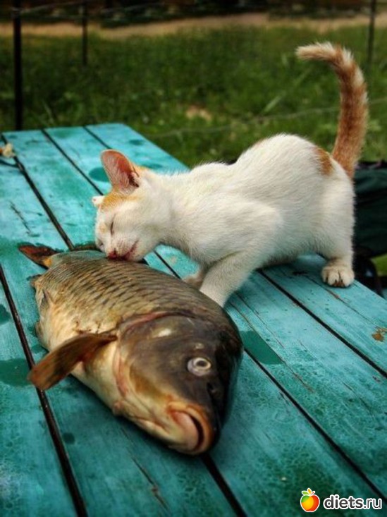 27 ����: ��������, �������.