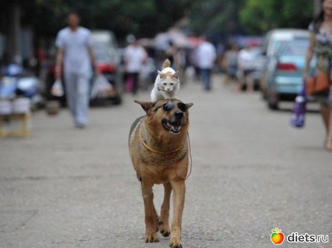 28 ����: ��������, �������.