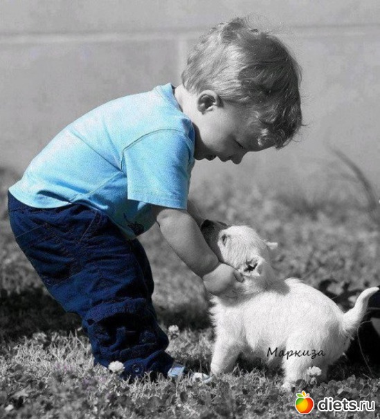 29 ����: ��������, �������.