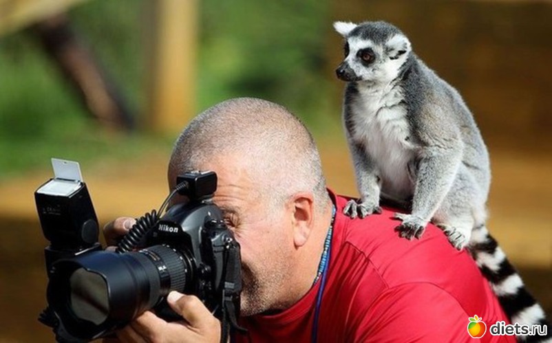 30 ����: ��������, �������.