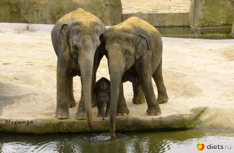 31 ����: ��������, �������.