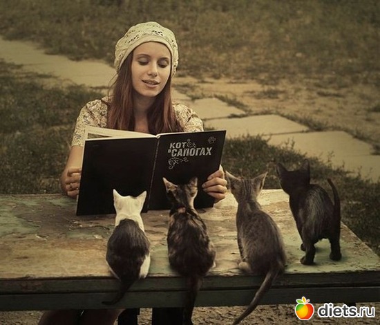 32 ����: ��������, �������.