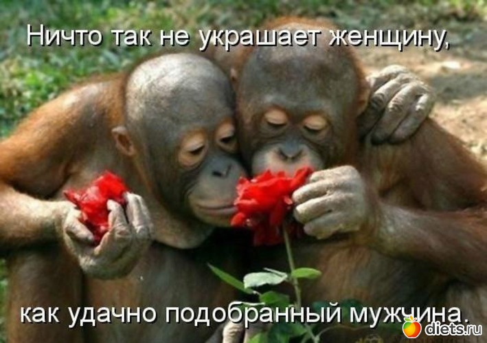 37 ����: ��������, �������.