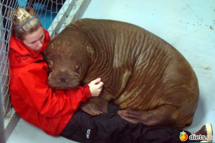 45 ����: ��������, �������.