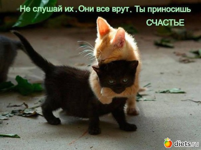 47 ����: ��������, �������.