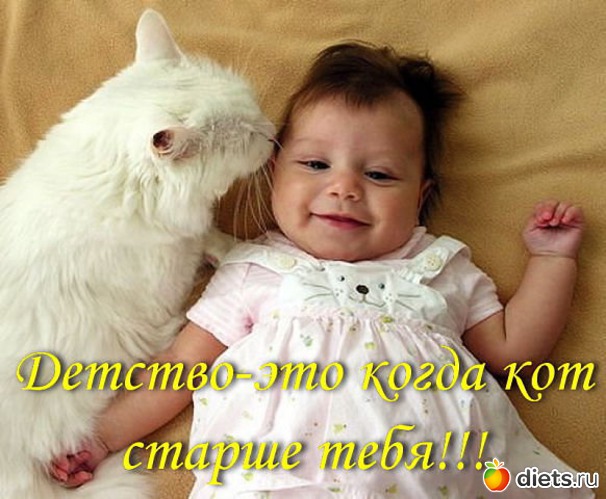 39 ����: ����.