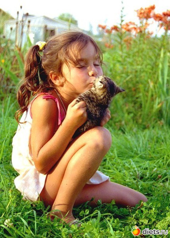 42 ����: ����.