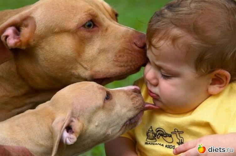 44 ����: ����.