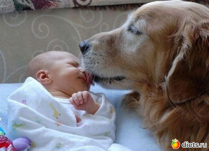 46 ����: ����.