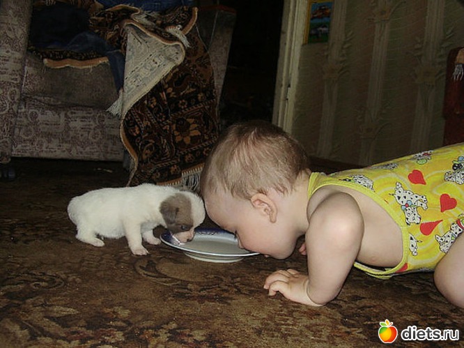 48 ����: ����.