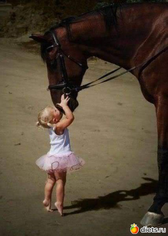 49 ����: ����.