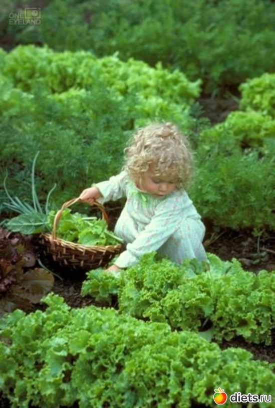 1 ����: ����.