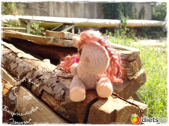 37 ����: ��� ���������