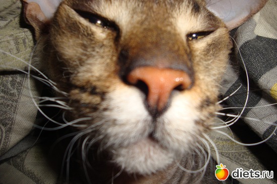 3 ����: ��� ������� ����