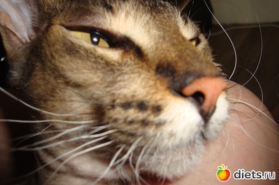 5 ����: ��� ������� ����