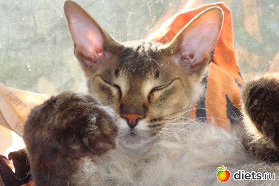 6 ����: ��� ������� ����