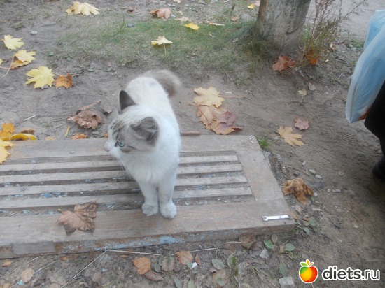 6 ����: ������� � �����