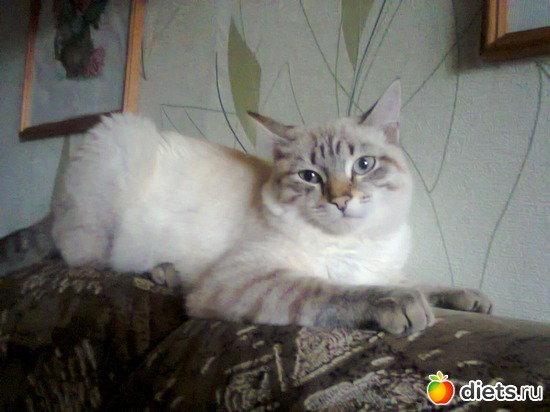 31 ����: �����