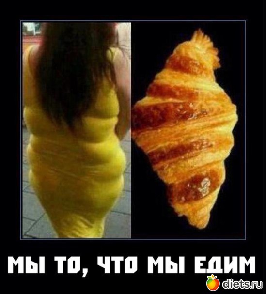 1 ����: ���������