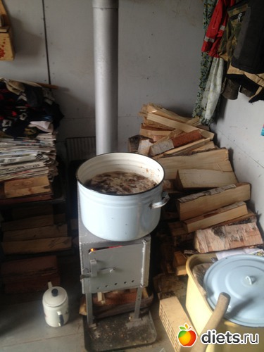 1 фото: грибочки