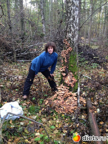 5 фото: грибочки