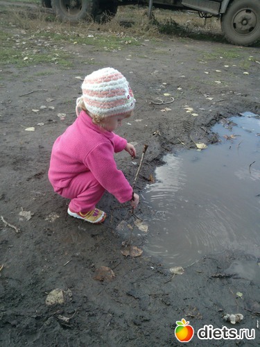 84 ����: � � �����