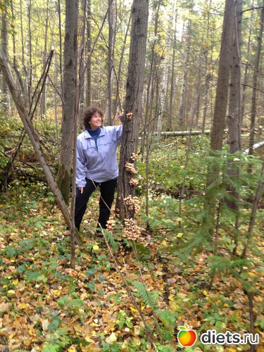 8 фото: грибочки