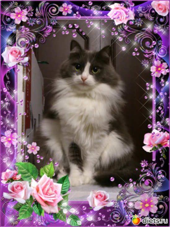 8 ����: ��� ����