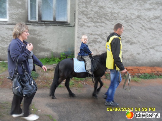 16 ����: ���