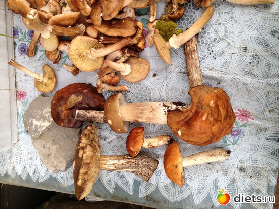 11 фото: грибочки