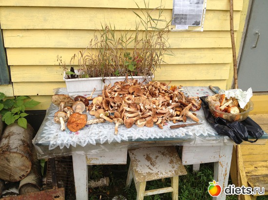 12 фото: грибочки