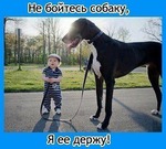 Ох уж эти детки!