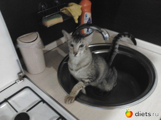 9 ����: ��� ������� ����