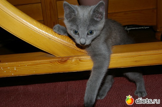 2 ����: �����