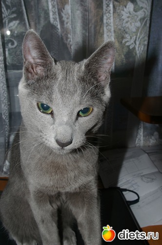 �������, ���������� ��� ���������)), ������: �����