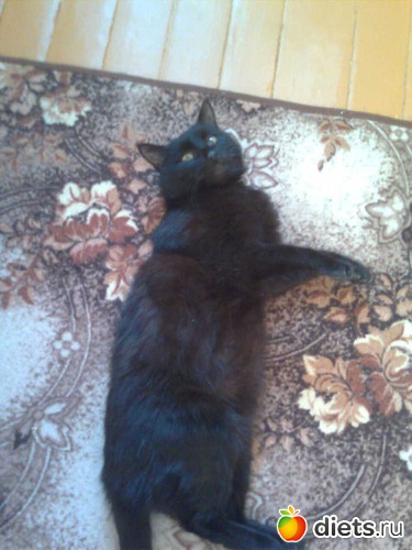 1 ����: ����� �������