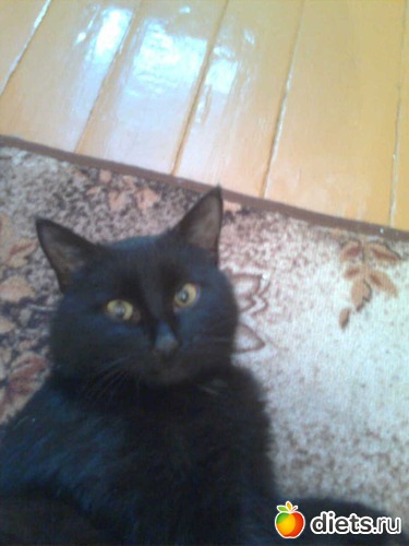 2 ����: ����� �������