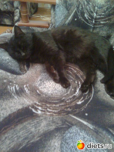 3 ����: ����� �������