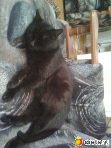 4 ����: ����� �������