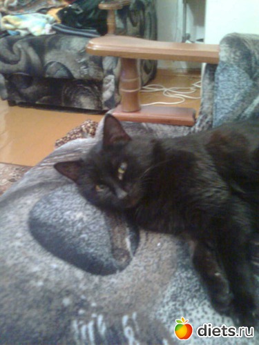 5 ����: ����� �������