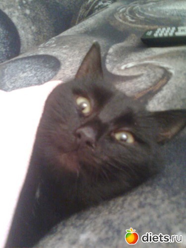 6 ����: ����� �������