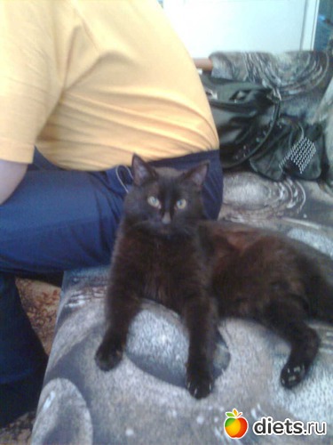 7 ����: ����� �������