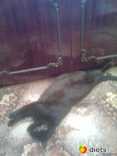 8 ����: ����� �������