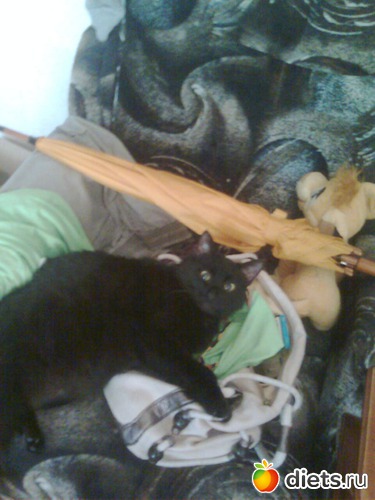 9 ����: ����� �������