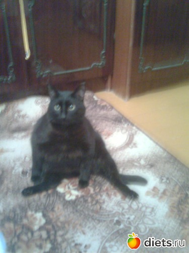 11 ����: ����� �������