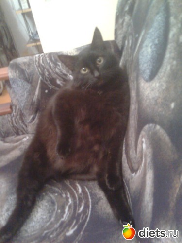 12 ����: ����� �������