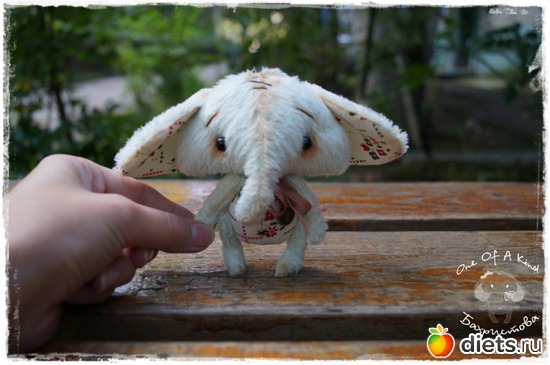 43 ����: ��� ���������